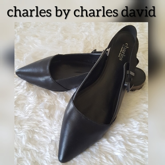 charles by charles david Shoes - ⬇️Charles by Charles David Shoes Flat Sling Sz 10
